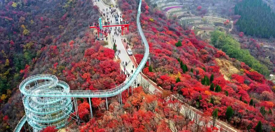 红叶柿岩：鲁中 “小丽江”，秋韵满山川1.jpg