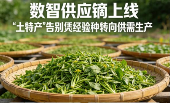 数智供应链上线,“土特产”告别“凭经验种”转向“按需生产”.jpg